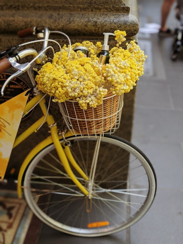    yellow-flowers-in-brown-woven-basket-on-bicycle-3599576