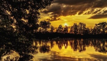 The Exposure Triangle -ISO, Aperture and Shutter Speed