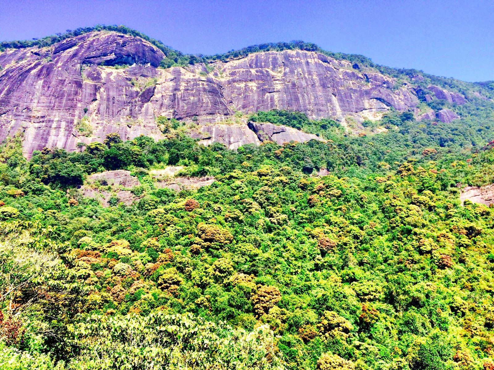 What Is The Compression Effect Of A Telephoto Lens → Solo Collections