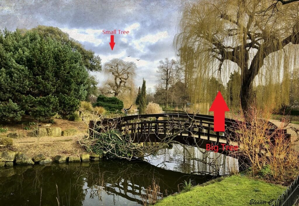 What Is The Compression Effect Of A Telephoto Lens – Solo Collections