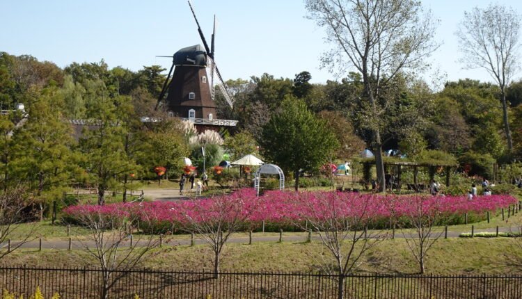Japan Chiba 007 Funabashi Anderson Park