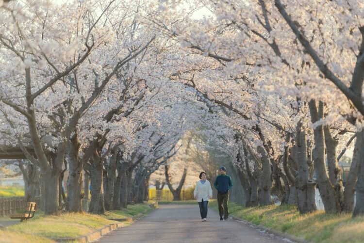 Japan Ibaraki Kamine Park   Japan Ibaraki Kamine Park