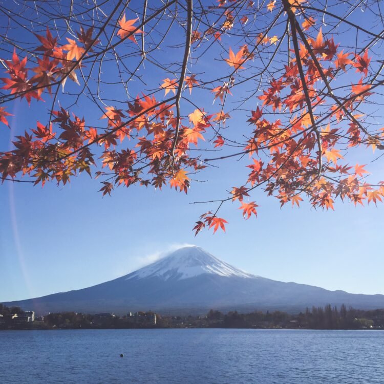    Japan Mount Fuji 012