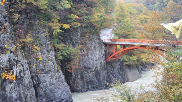 Japan Niigata 010 Japan Niigata 010 Shinano River   Japan Niigata 010 Japan Niigata 010 Shinano River