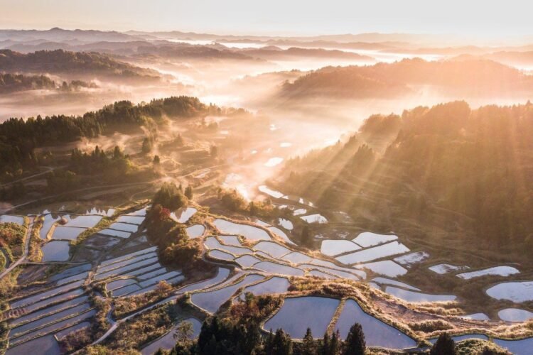 Japan Niigata 022 Hoshitouge Rice Terrace   Japan Niigata 022 Hoshitouge Rice Terrace