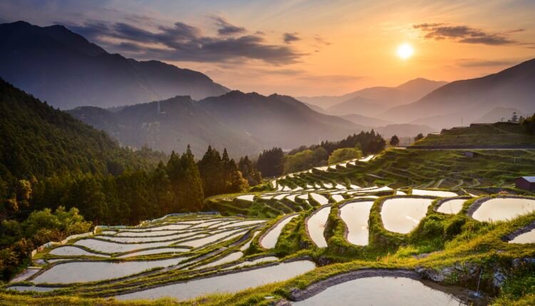 Rice Terraces at Sunset