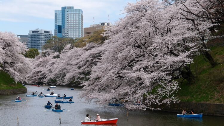 Japan Tokyo Chidorigafuchi Moat   Japan Tokyo Chidorigafuchi Moat